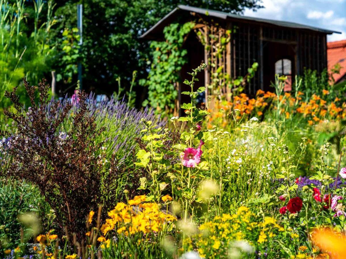 Landhotel Gut Wildberg Meißen Buitenkant foto