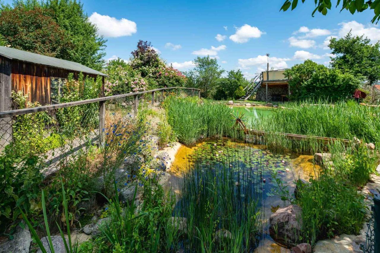 Landhotel Gut Wildberg Meißen Buitenkant foto