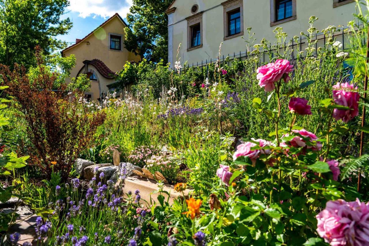 Landhotel Gut Wildberg Meißen Buitenkant foto
