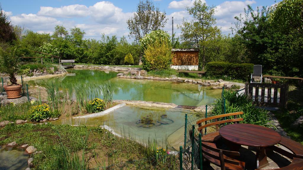 Landhotel Gut Wildberg Meißen Buitenkant foto