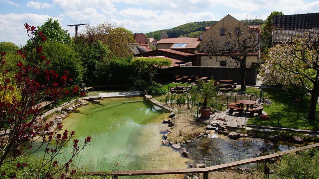 Landhotel Gut Wildberg Meißen Buitenkant foto